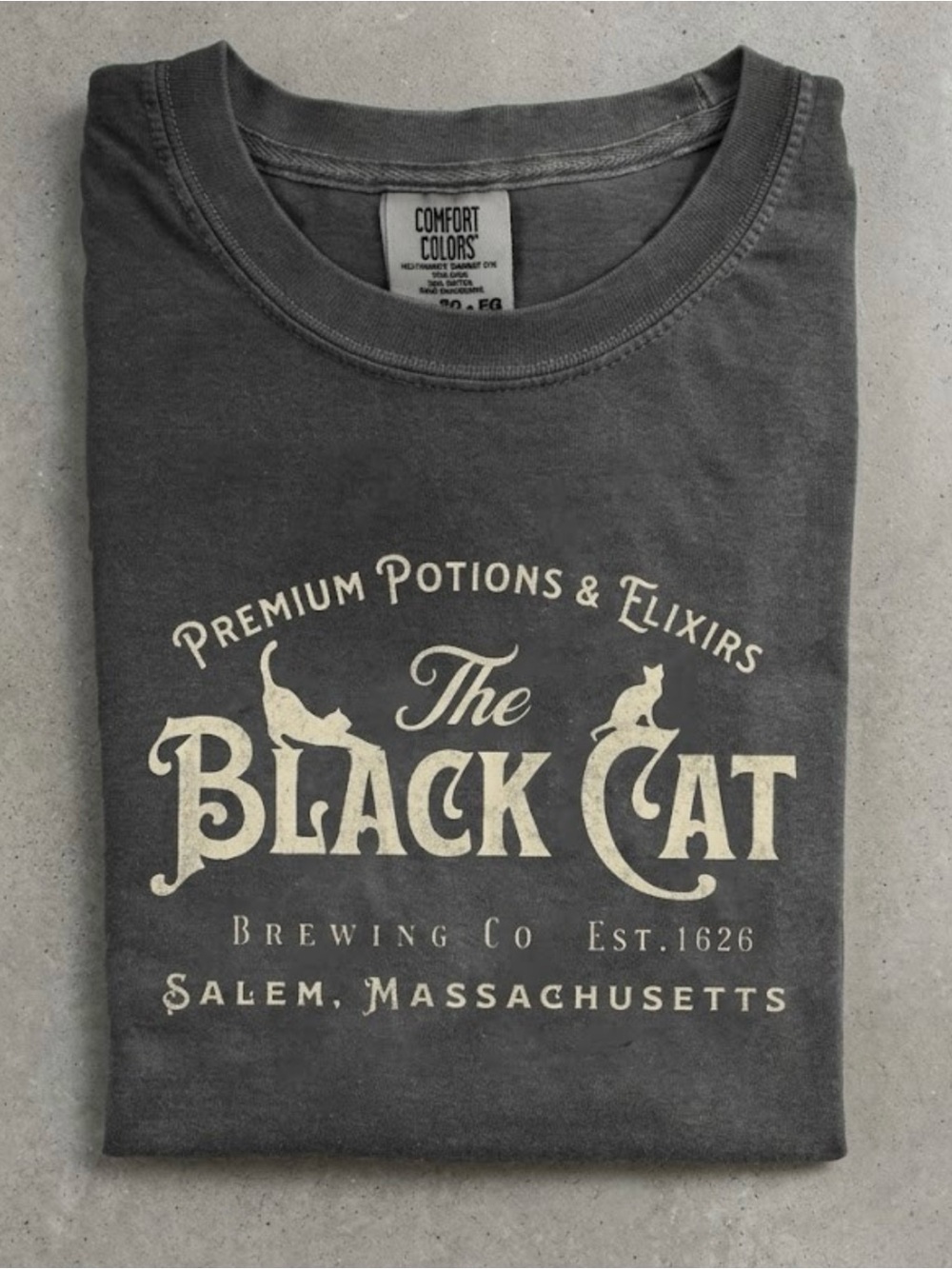 Comfort Colors Salem Black Cat Witchy Halloween Season Tee